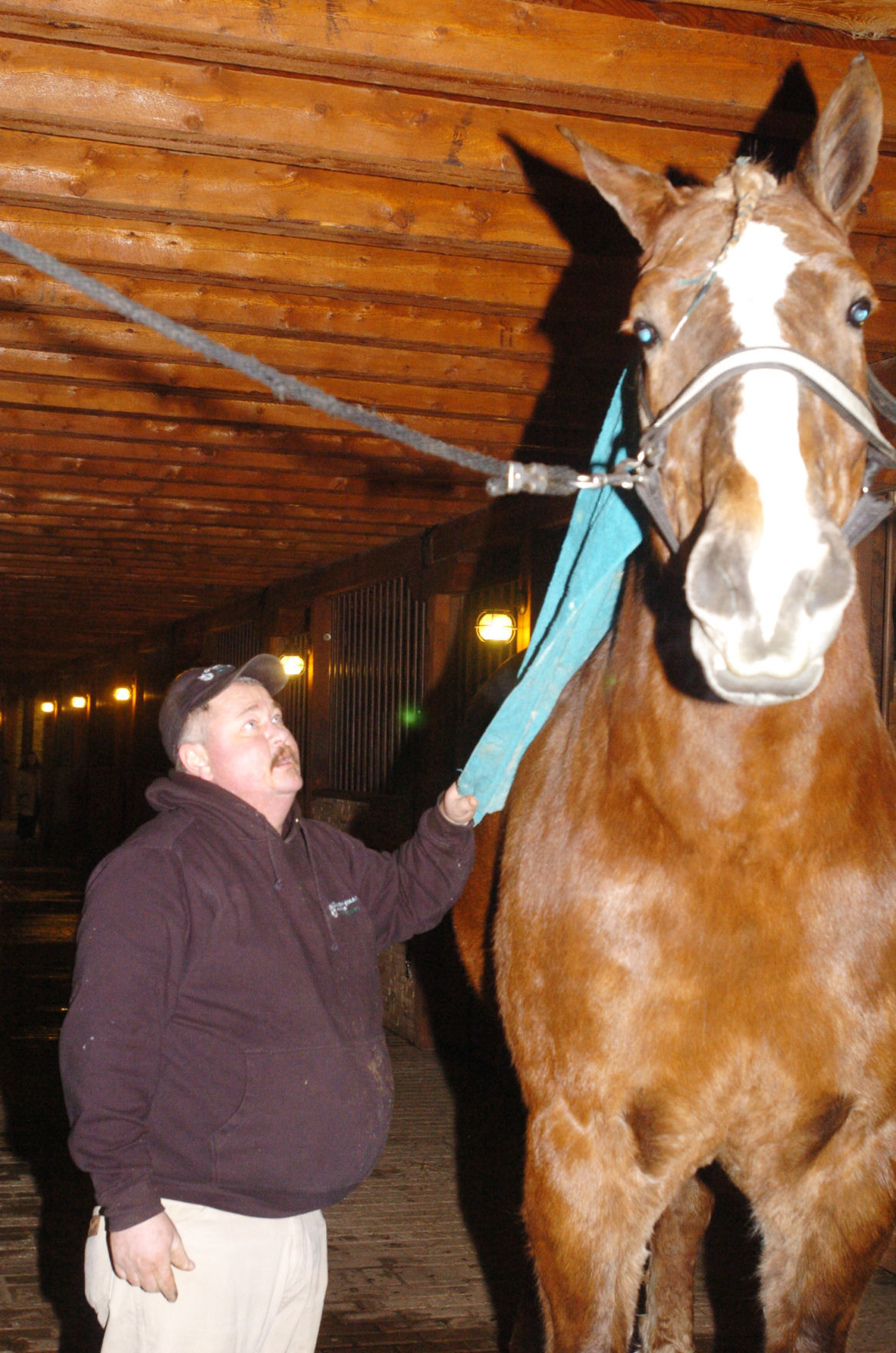 January 2010 -- Whoa, that's a big horse!